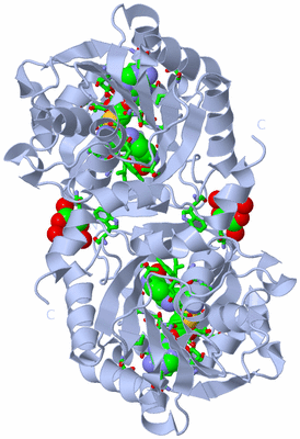 Image Biol. Unit 1 - sites