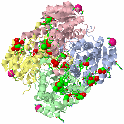 Image Asym./Biol. Unit - sites