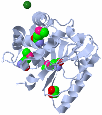 Image Biological Unit 1