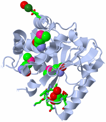 Image Biol. Unit 1 - sites