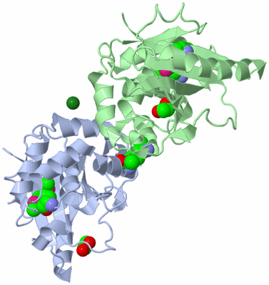 Image Biological Unit 3