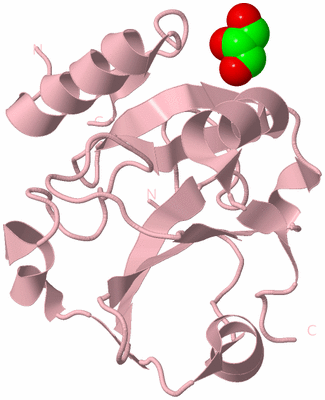 Image Biological Unit 3