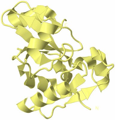 Image Biological Unit 4