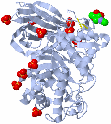 Image Biological Unit 1