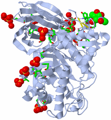 Image Biol. Unit 1 - sites