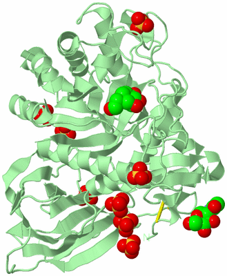 Image Biological Unit 2