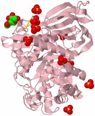 Image Biological Unit 3