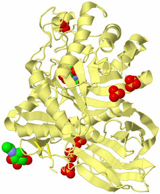 Image Biological Unit 4