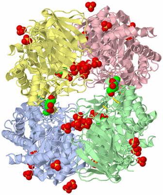 Image Biological Unit 5