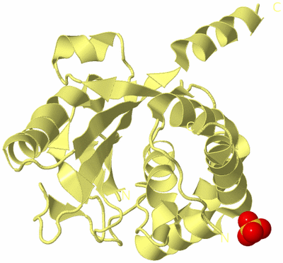 Image Biological Unit 4