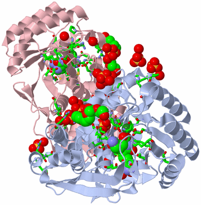 Image Biol. Unit 1 - sites