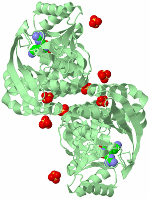 Image Biological Unit 2