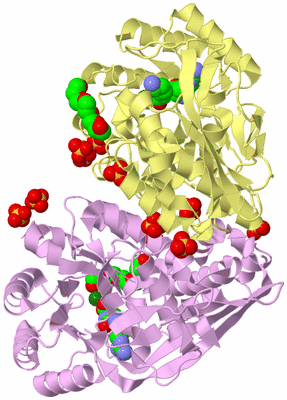 Image Biological Unit 3