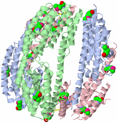 Image Biological Unit 1