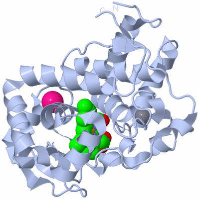 Image Biological Unit 1