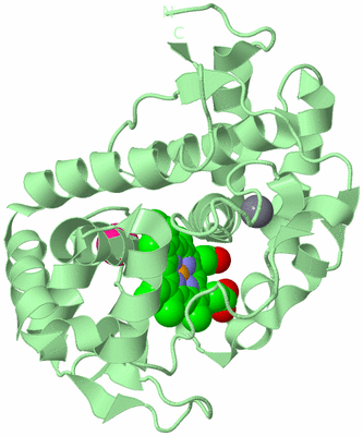 Image Biological Unit 2