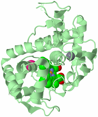 Image Biological Unit 2