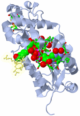 Image Biol. Unit 1 - sites