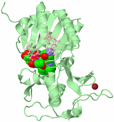 Image Biological Unit 2