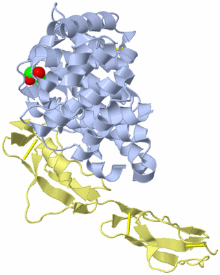 Image Biological Unit 1