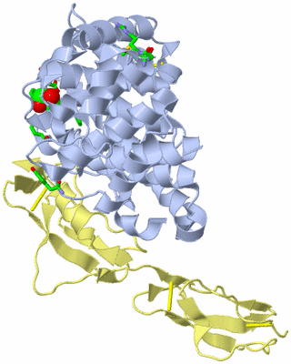 Image Biol. Unit 1 - sites