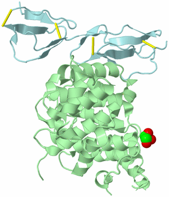 Image Biological Unit 2