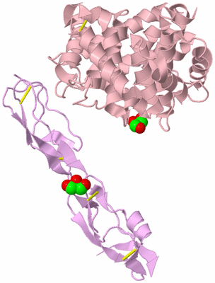 Image Biological Unit 3