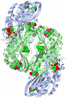 Image Biol. Unit 1 - sites