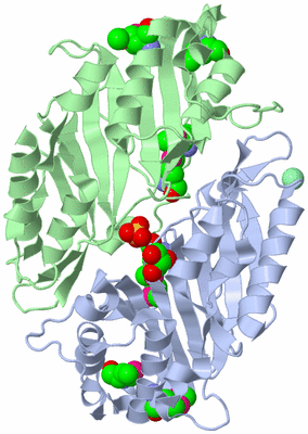 Image Biological Unit 2