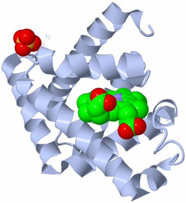 Image Biological Unit 1