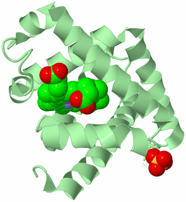 Image Biological Unit 2