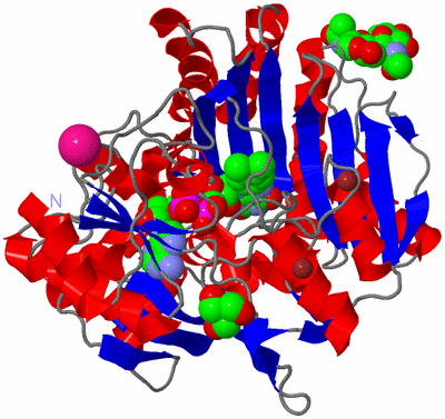 Image Asym./Biol. Unit