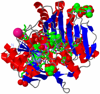 Image Asym./Biol. Unit - sites