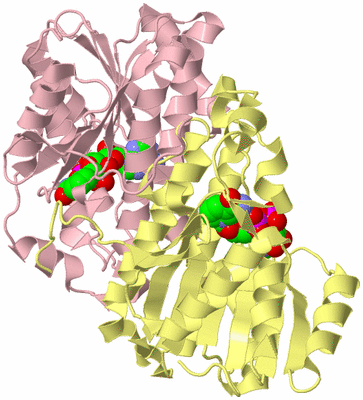 Image Biological Unit 2