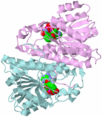 Image Biological Unit 3