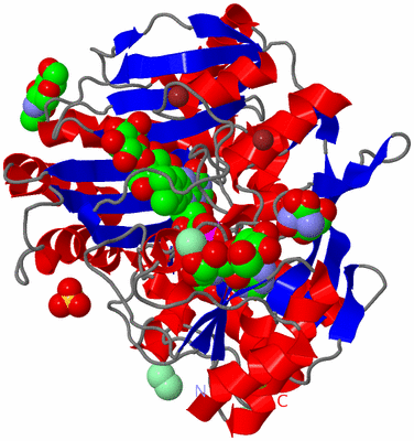 Image Asym./Biol. Unit