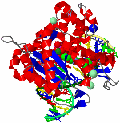 Image Asym./Biol. Unit