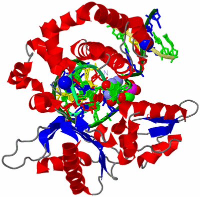 Image Asym./Biol. Unit