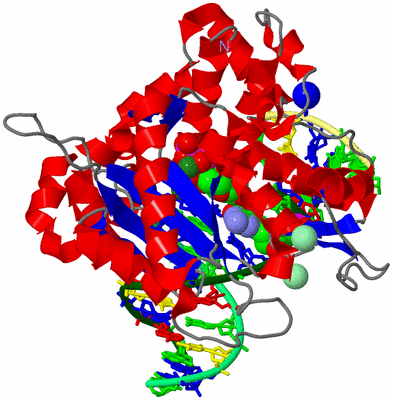 Image Asym./Biol. Unit