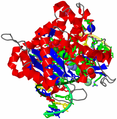 Image Asym./Biol. Unit - sites