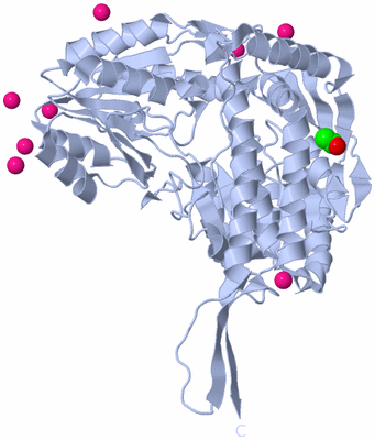 Image Biological Unit 1