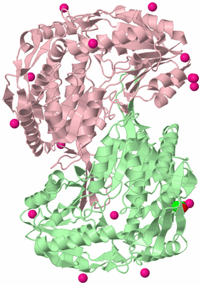 Image Biological Unit 10