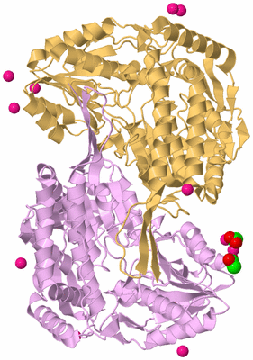 Image Biological Unit 11