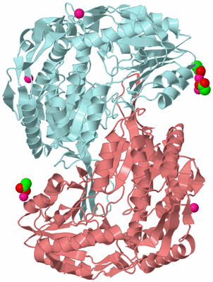 Image Biological Unit 12