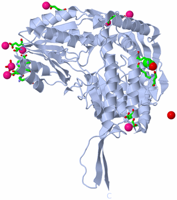 Image Biol. Unit 1 - sites