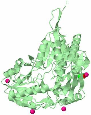 Image Biological Unit 2