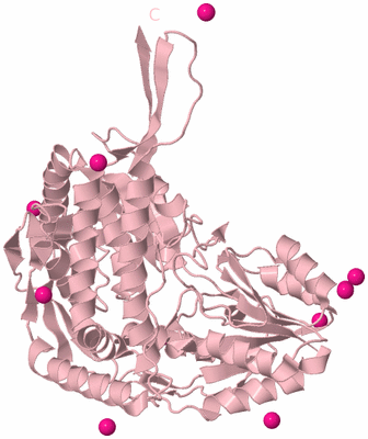 Image Biological Unit 3