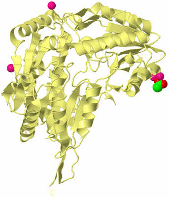 Image Biological Unit 4