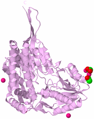 Image Biological Unit 5