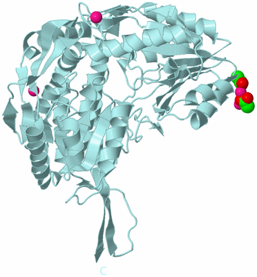 Image Biological Unit 6